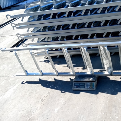 Silver Scaffolding Ladders With 150kg Load Capacity For Versatile Construction